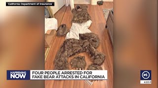 Insurers say bear that damaged luxury cars was actually a person in a costume