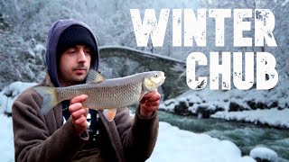 WINTER CHUB \u0026 BARBEL FISHING ON THE RIVER OUSE