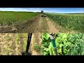 Ecological Nutrient Management: Healthy Soils for Sustainable Cotton Webinar Series, Episode 4