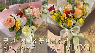 [꽃수니TV] 꽃 다듬기 컨디셔닝 + 꽃 이름 찾기(feat.생화 염색 쿠키영상) | Flower shop Florist Vlog