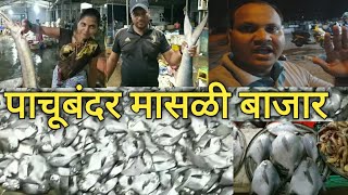 वसई पाचूबंदर होलसेल मासळी बाजार | Pachu Bander Wholesale Night Fish Market| Pachu Bander Fish market