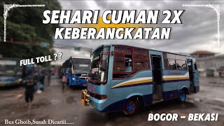 JANGAN MENILAI DARI FISIK SAJA WIR🫣 || TRIP BUS KARAWANG INDAH BOGOR - BEKASI || Sehari cuman 2X😱