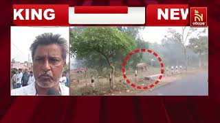 Elephant Attack Woman in Deogarh Reamal Block | Villagers Block Road Demanding Compensation | Watch