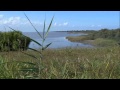 OASI DI BOSCOFORTE, VALLI DI COMACCHIO, DELTA DEL PO