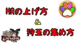 【MHXR】HRの上げ方と狩玉の集め方！【あしあと】