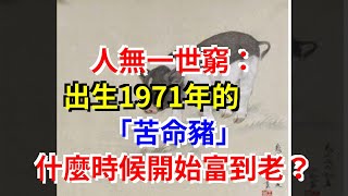 人無一世窮：出生1971年的「苦命豬」，什麼時候開始富到老？