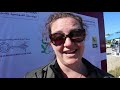 2019 tunis lake international sprint regatta interview cindy davis