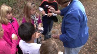 Learning with the Environmental Volunteers