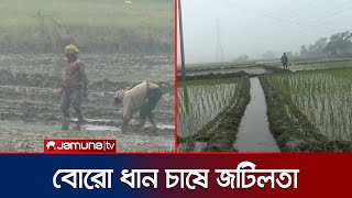 গোপালগঞ্জে উৎপাদন খরচ বাড়ায় বোরো ধান চাষে আগ্রহ হারাচ্ছে কৃষক | Gopalganj Paddy | Jamuna TV