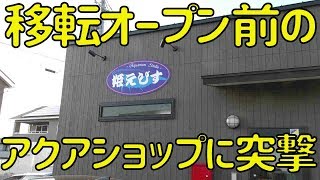 【アクアリウムエビ】移転オープン前のアクアショップに突撃した結果。。。