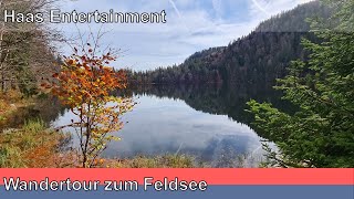 Wandertour um den Feldsee im Schwarzwald