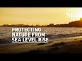 Climate change: Protecting nature from sea level rise