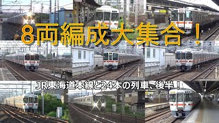 8両編成大集合！JR東海道本線と24本の列車、後半！