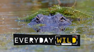 News 6 Insiders: Your guide to all things Central Florida