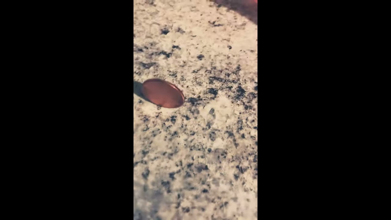 My Penny Landed Sideways😮 - YouTube