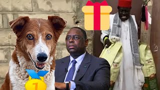 Un cadeau de son Excellence le Président Macky Sall ? Croquette - Ep 16