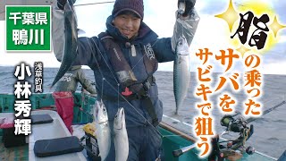 脂の乗ったサバをサビキで狙う・千葉県鴨川