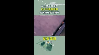 古代皇帝驾崩后，妃子如果不愿意殉葬怎么办？ #殉葬 #皇帝驾崩 #历史#历史 #揭秘 #背景故事