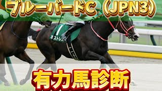 【ブルーバードC】今年1発目で当てたい…！\