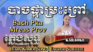 Khmer Karaoke - Bach Pka Mreas Prov បាចផ្កាម្រះព្រៅ ភ្លេងសុទ្ធ Pleng Sot [English Sub Sing Along]