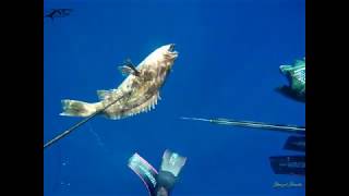 Spearfishing Corfu 2019 - part 1