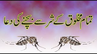 Dengue Bukhar Se Mehfooz Rehne ki Dua