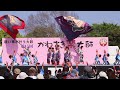 かわさき楽大師よさこい20190420 連番 224