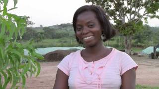 Integrated Farm Management in Africa