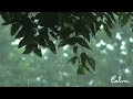 Rainstorm Sounds for Relaxing, Focus or Deep Sleep  Nature White Noise  8 Hour Video