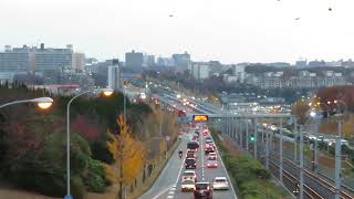 泉ヶ丘駅周辺　紅葉　堺市