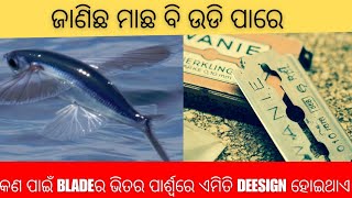 କଣ ପାଇଁ BLADE ର ଭିତର ପାର୍ଶ୍ବରେ ଏମିତ DEESIGN ହୋଇଥାଏ ?  # Amazing facts in odia # SUSHANT FACT