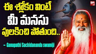 ఈ శ్లోకం వింటే మీ మనసు పులకించి పోతుంది.. | Sri Ganapathi Sachidananda Swamiji | BIG TV