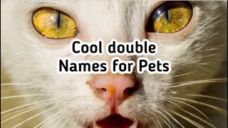 Cool double Names for Pets | GGalactic Paws