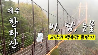 Day45. 아이들과 함께한 한라산 백록담 정복기 | 함께라면 할 수 있어 Ep.2