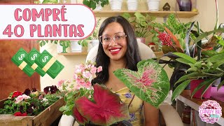 ENLOQUECÍ COMPRANDO PLANTAS: Anturios, bromelias, petunias, geranios y más│Candy Bu