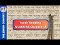Torah Reading | Numbers Chapter 35 in Hebrew with English Translation