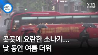 곳곳에 요란한 소나기…낮 동안 여름 더위   / YTN 사이언스