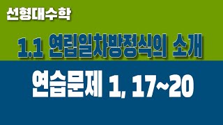 [선형대수학] 1.1 연립일차방정식의 소개 (Part3. 연습문제 풀이)