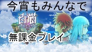 【白猫プロジェクト】今宵も協力　セシカの無課金プレイ