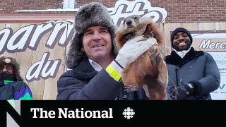 Fred is dead: Groundhog Day takes a grim turn in Quebec