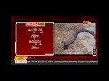 in karimnagar snake doing different sounds