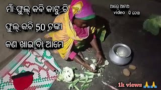 #ମାଁ ପରୀ ବା କାଟୁଉ ଚି ରାତି ରେ.?