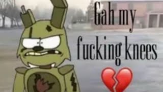 ToonTrap server wipe