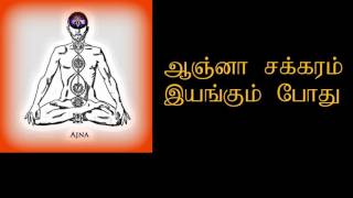 ஆஞ்னா சக்கரம் செயல்படும் போது | Ajna Chakra in Tamil