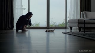 Daiwa House ｢ここで、一緒に｣嘘篇 - リリー・フランキー／深津絵里 - ♪ 中川俊郎 （90sec）