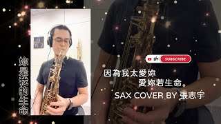 洪榮宏經典台語歌曲《妳是我的生命》薩克斯風演奏【動態歌詞】