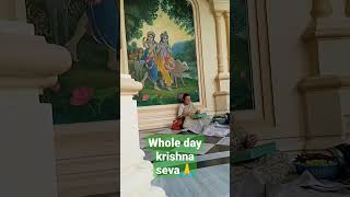 Krishna devotees seva whole day Hare-krishna!! #vrindavandham #iskcon #chantandbehappy #shorts 🙏🥰😍💜