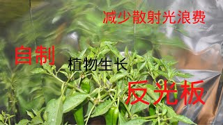 自制植物生长反光板