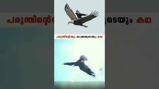 തളർത്താൻ ഒരുപാടു പേരുണ്ടാകും, നിങ്ങൾ നിങ്ങളുടെ സ്വപ്‌നങ്ങൾ കണ്ടെത്തൂ, കുതിച്ചുയറൂ...#shortvedios