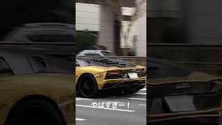 [Explosive sound] Lamborghini Aventador S appears with a dynamic downshift